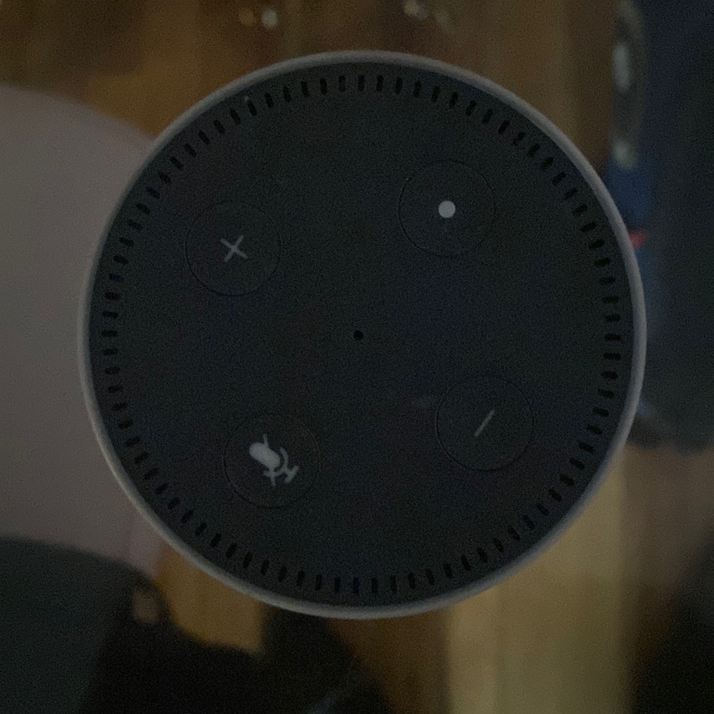 White amazon alexa